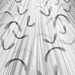 Извадок: Наоки Хогашида, „ЗОШТО САКАМ ДА СКОКАМ“