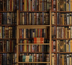 Вратена книга во библиотека по 49 години